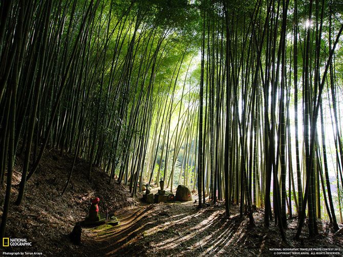 Лучшие фотографии National Geographic за июнь 2013 Лучшие фотографии National Geographic за июнь 2013