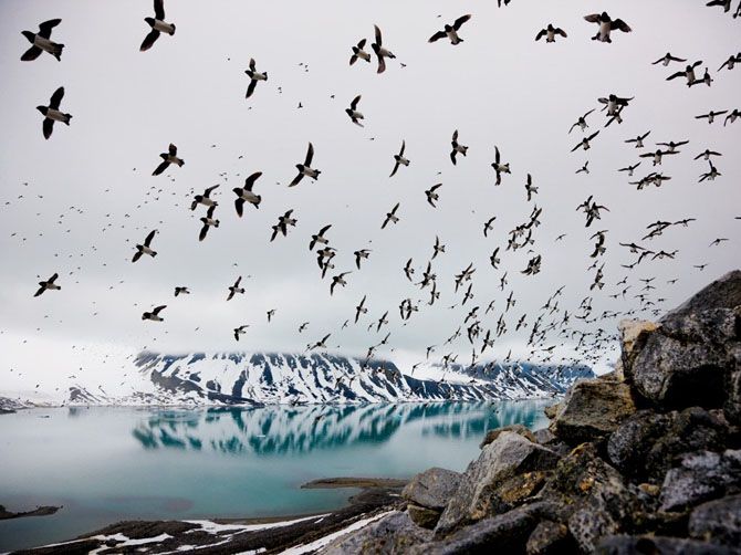Лучшие фотографии National Geographic за июнь 2013 Лучшие фотографии National Geographic за июнь 2013