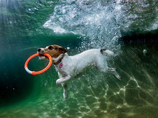 Лучшие фотографии National Geographic за июнь 2013 Лучшие фотографии National Geographic за июнь 2013