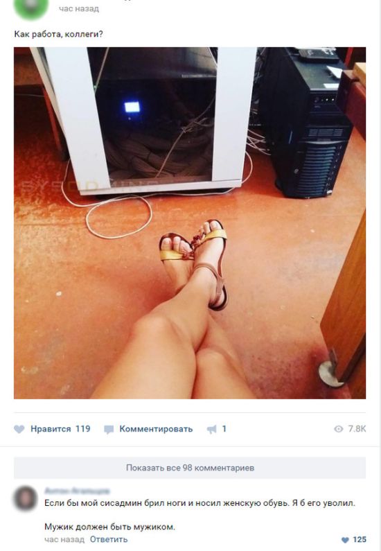Прикольные картинки