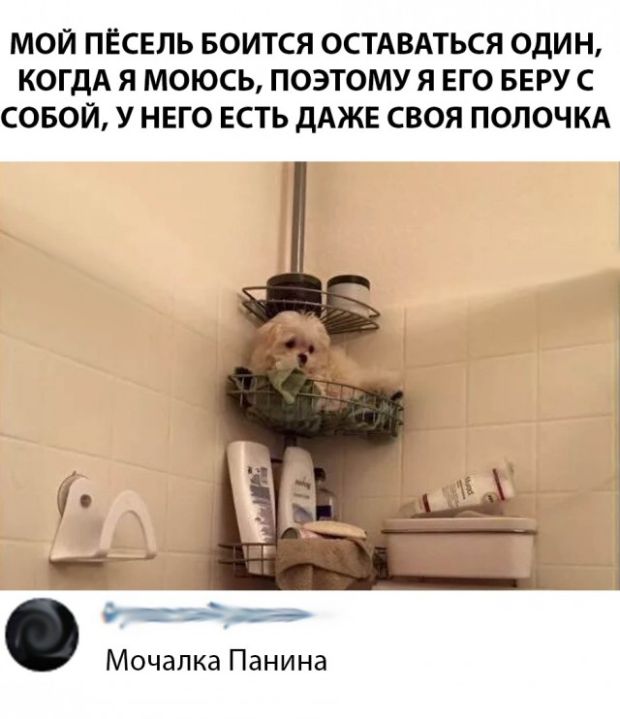 Юмор и комментарии из социальных сетей