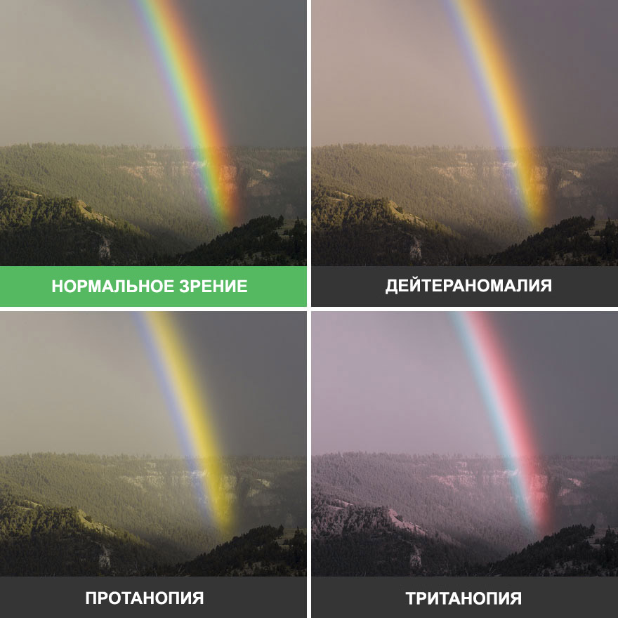 Каким видят мир дальтоники Каким видят мир дальтоники