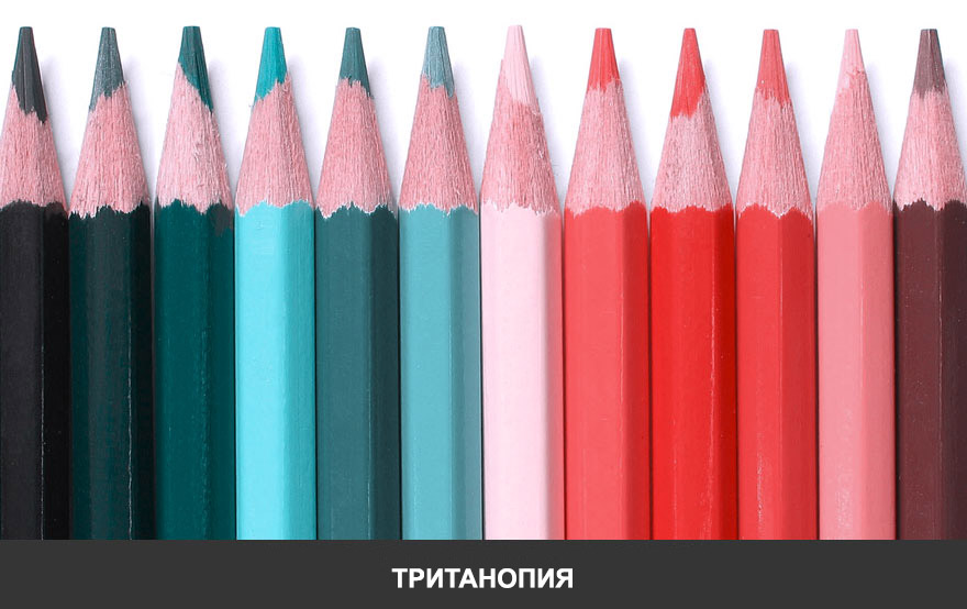 Каким видят мир дальтоники Каким видят мир дальтоники