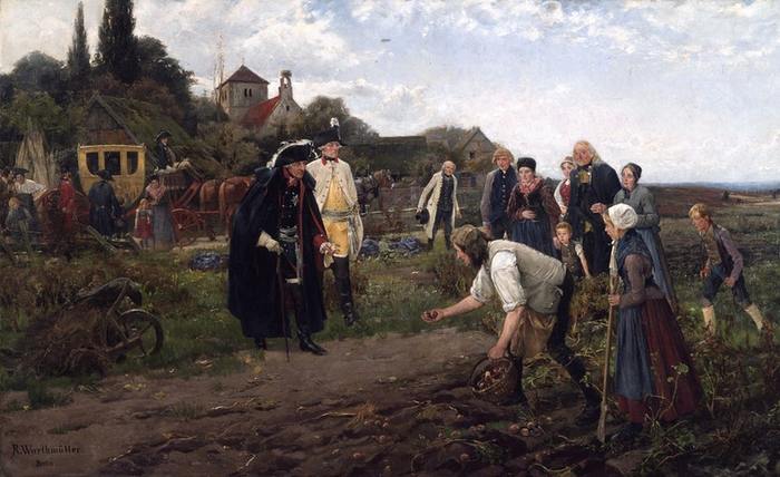 История картофельных бунтов в России История картофельных бунтов в России