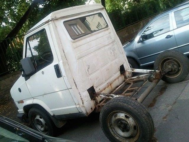 Прикольные картинки