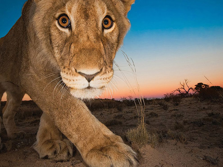 National Geographic: лучшие фотографии августа National Geographic: лучшие фотографии августа