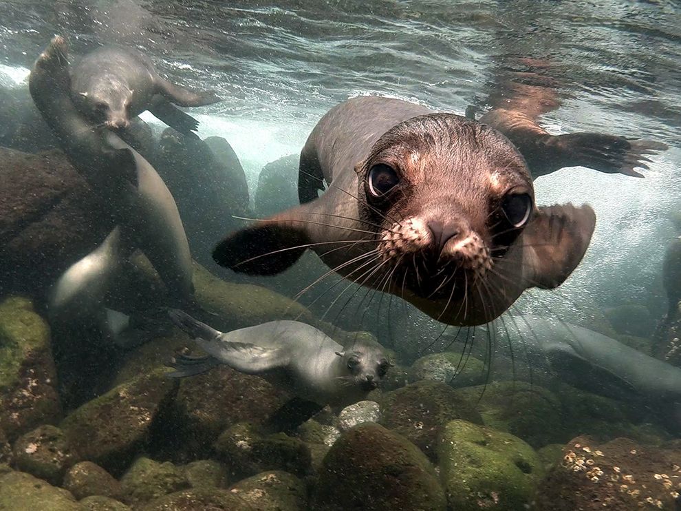 National Geographic: лучшие фотографии августа National Geographic: лучшие фотографии августа