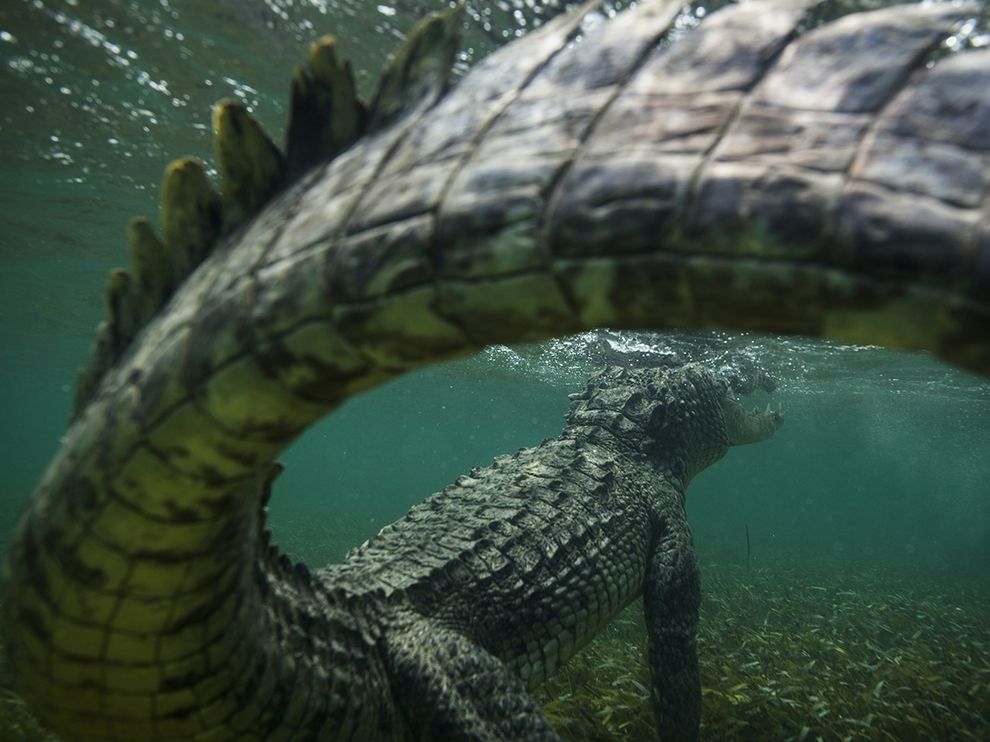 National Geographic: лучшие фотографии августа National Geographic: лучшие фотографии августа