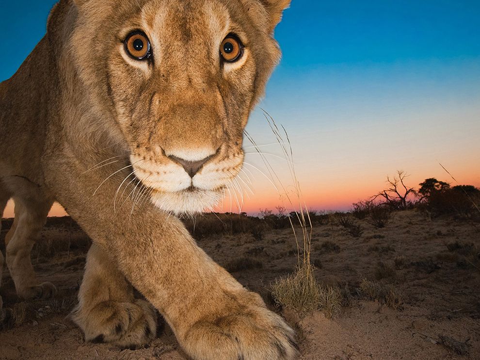 National Geographic: лучшие фотографии августа National Geographic: лучшие фотографии августа