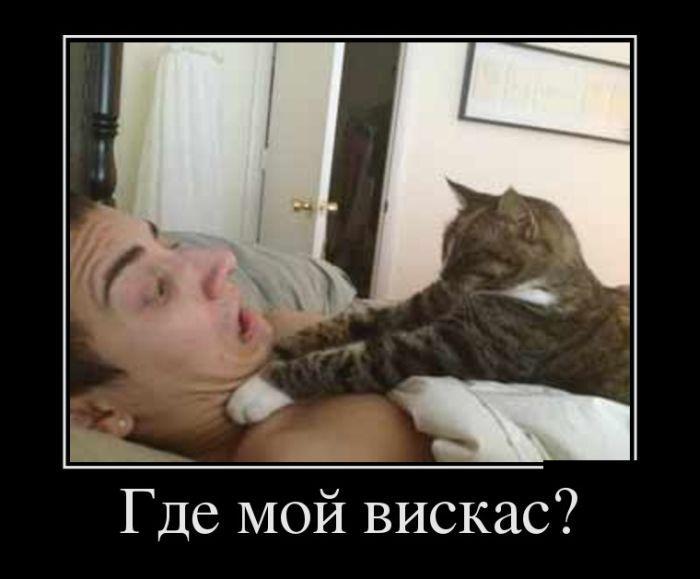 Демотиваторы (30 фото)