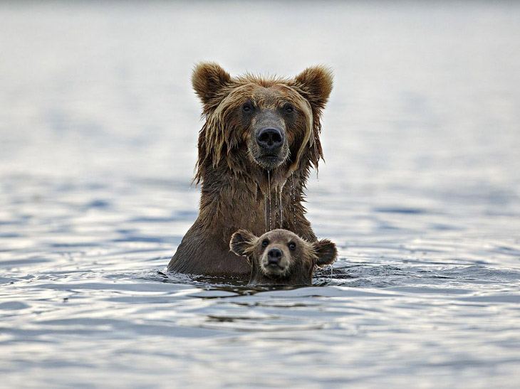 National Geographic: лучшие фотографии сентября National Geographic: лучшие фотографии сентября