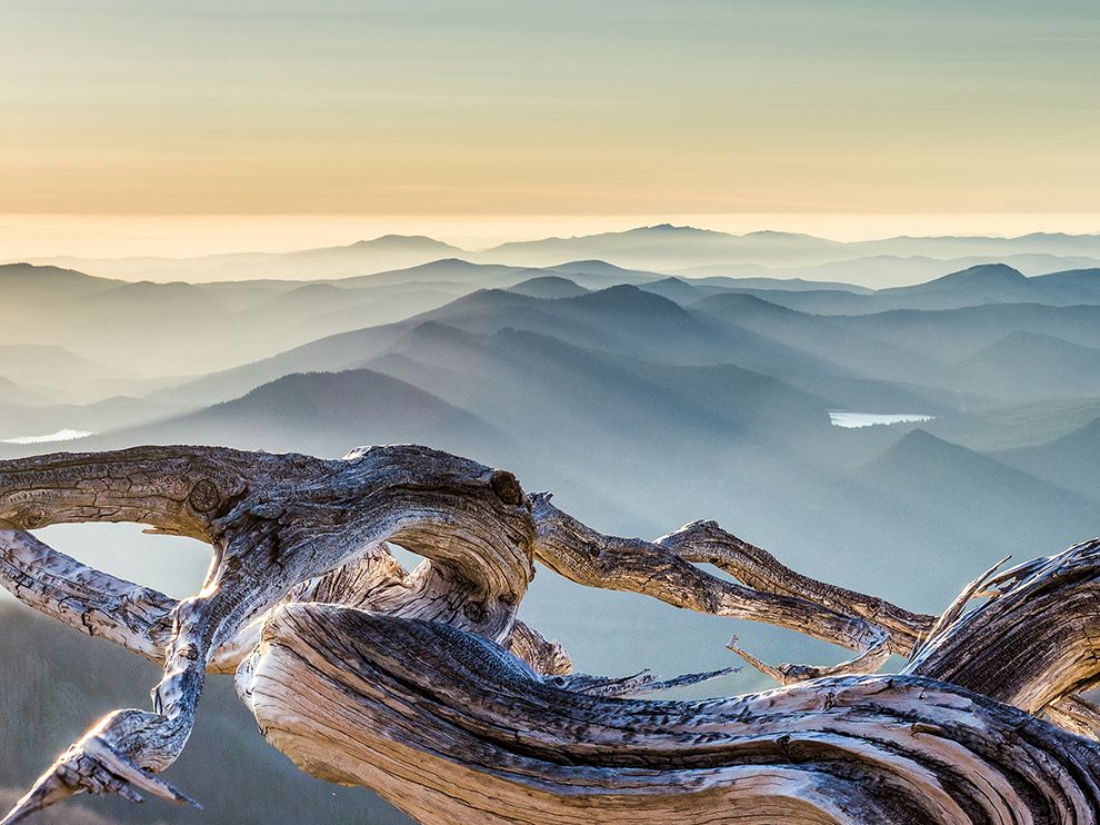 National Geographic: лучшие фотографии сентября National Geographic: лучшие фотографии сентября