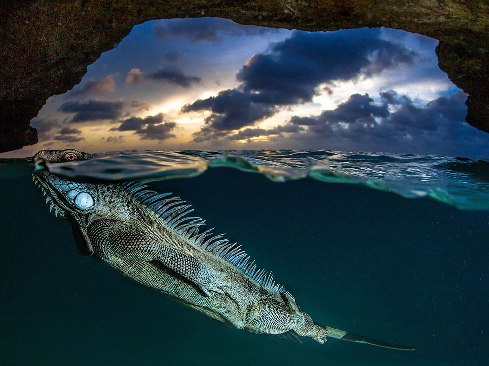 National Geographic: лучшие фотографии сентября National Geographic: лучшие фотографии сентября