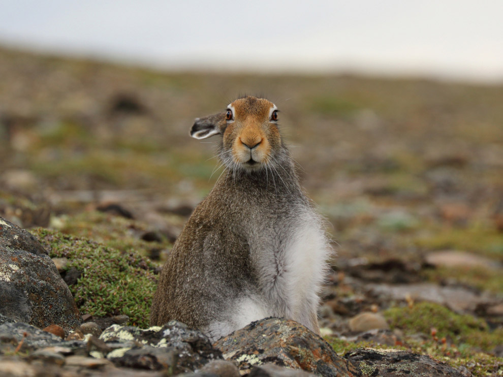 National Geographic: лучшие фотографии сентября National Geographic: лучшие фотографии сентября