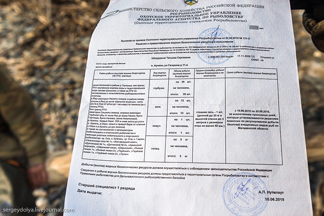 Не совсем легальное производство красной икры Не совсем легальное производство красной икры