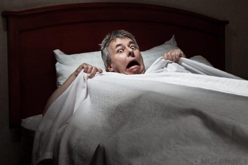 Удивительные факты о сне, спальнях и кроватях Удивительные факты о сне, спальнях и кроватях
