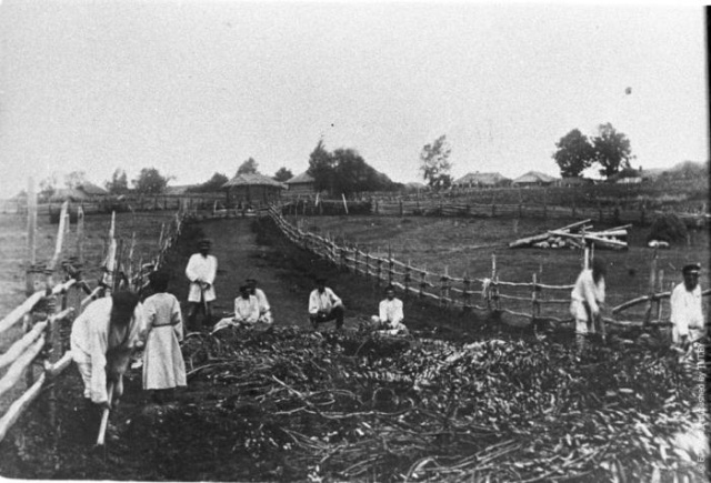 Интересные фотографии из прошлого Интересные фотографии из прошлого