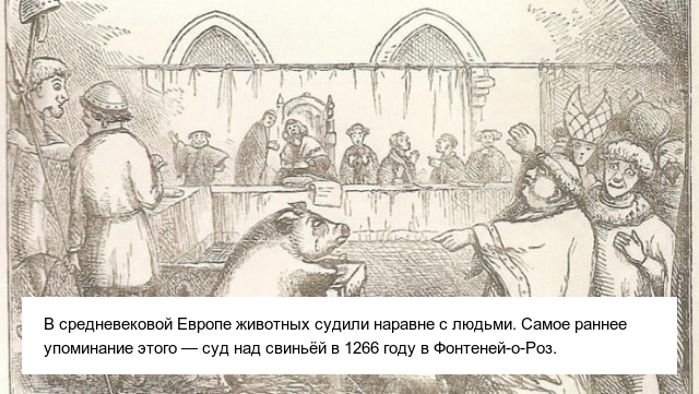 Жуткие исторические факты из далекого прошлого