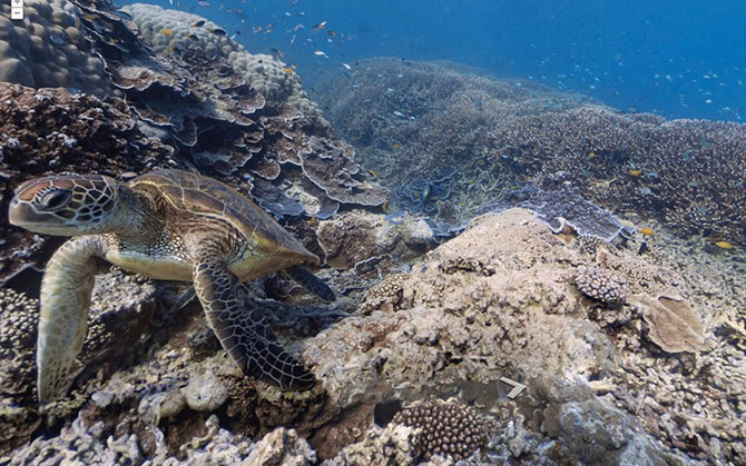 10 лучших мест для изучения c помощью Google’s Street View