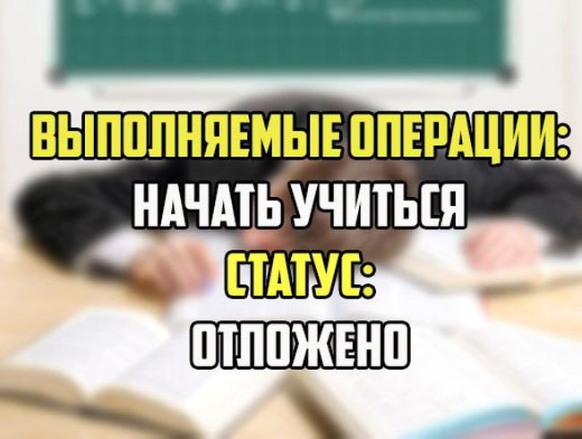 Прикольные картинки (82 фото)