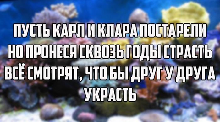 Прикольные картинки (82 фото)