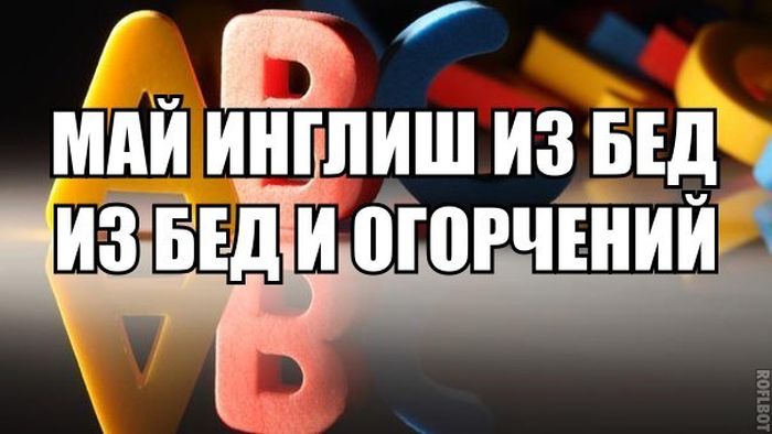 Прикольные картинки (82 фото)