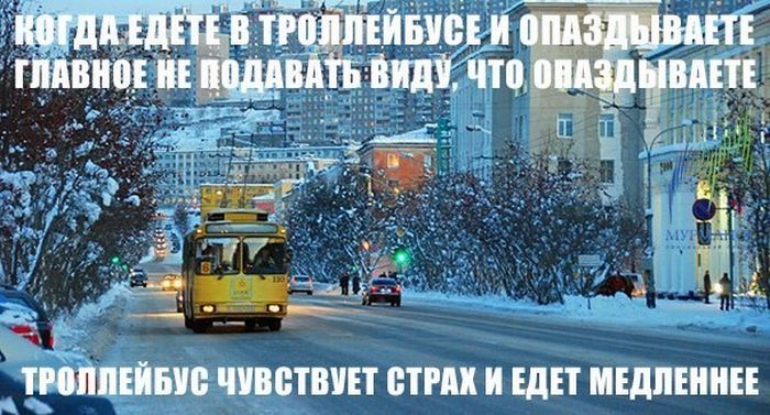 Прикольные картинки (82 фото)
