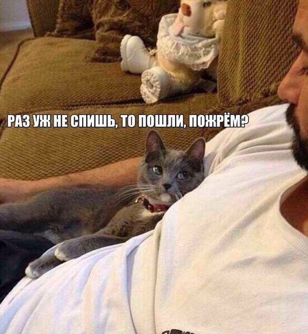 Порция картинок