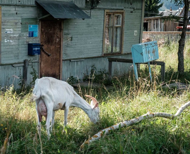 Самые эксцентричные отделения Почты России Самые эксцентричные отделения Почты России
