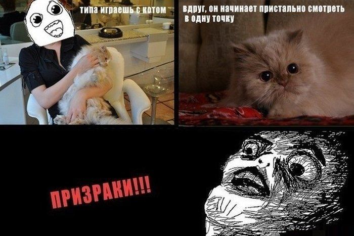 Прикольные картинки