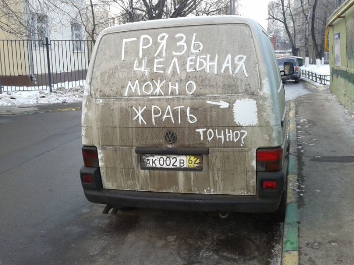 Прикольные картинки