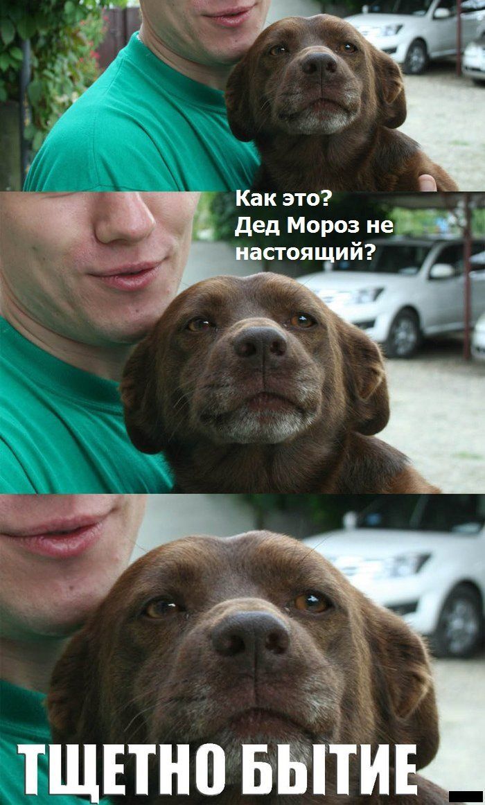 Прикольные картинки