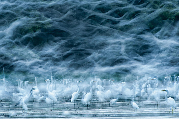Победители конкурса фотографии National Geographic 2013 Победители конкурса фотографии National Geographic 2013