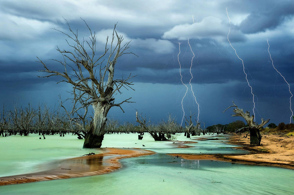 Победители конкурса фотографии National Geographic 2013 Победители конкурса фотографии National Geographic 2013