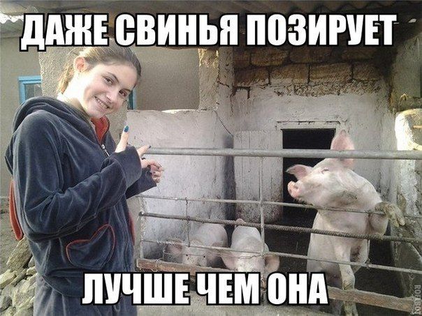 Прикольные картинки (89 фото)