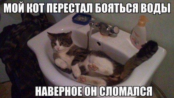Прикольные картинки (89 фото)