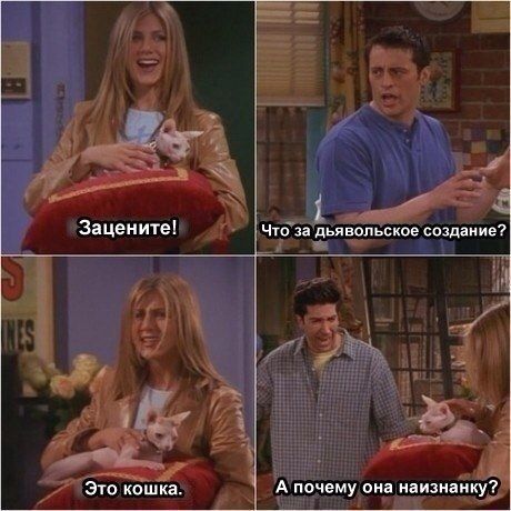 Прикольные картинки (89 фото)