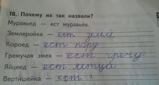 Прикольные картинки (89 фото)