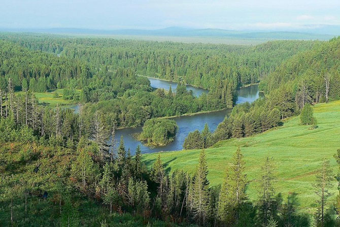 Огромнейшие леса на планете Огромнейшие леса на планете