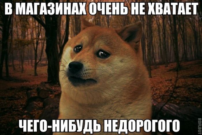 Порция картинок