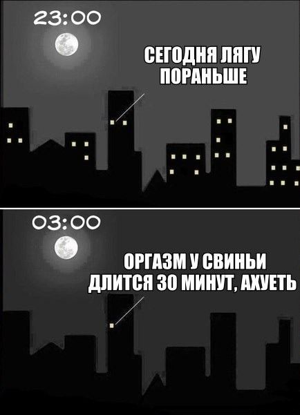 Прикольные картинки (85 фото)