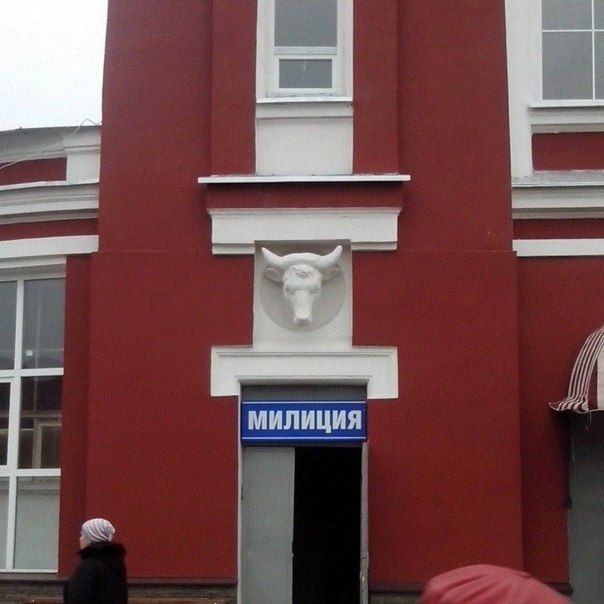 Прикольные картинки (85 фото)
