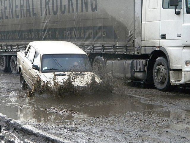 Прикольные картинки (85 фото)