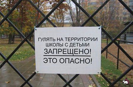 Прикольные картинки (85 фото)