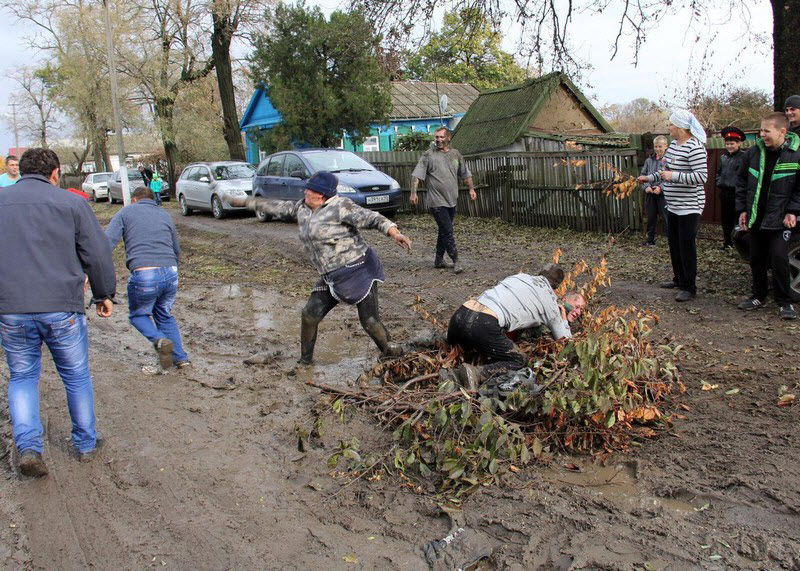 Тем временем в Канаде