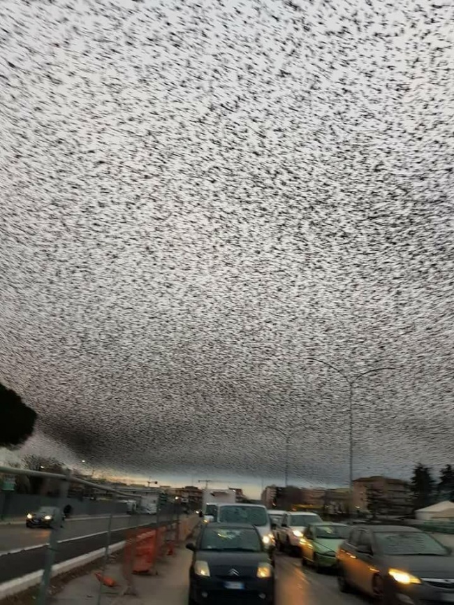 25 фотографий, которые доказывают, что не все в нашей жизни поддается здравому смыслу 25 фотографий, которые доказывают, что не все в нашей жизни поддается здравому смыслу