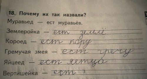 Детские перлы (20 фото)