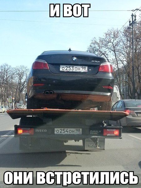 Прикольные картинки (91 фото)