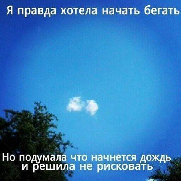 Порция картинок