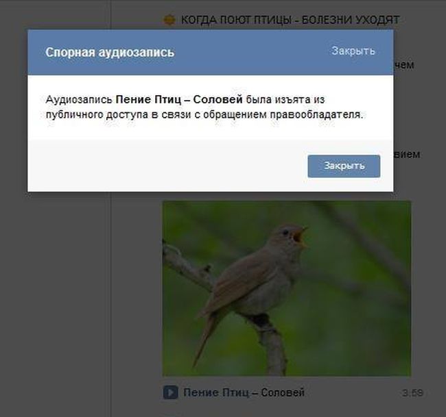 Порция картинок